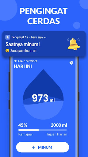 Pratinjau aplikasi