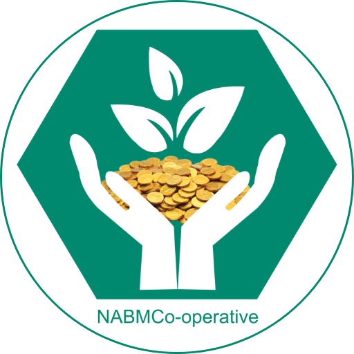NawaArthik Smart App logo