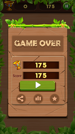 Game screenshot Wood Block Puzzle King hack