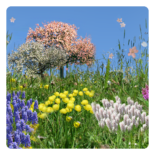春の花の無料壁紙 Google Play のアプリ