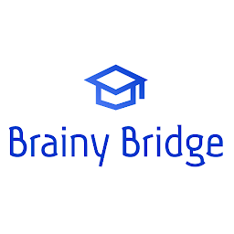 Imagen de icono Brainy bridge