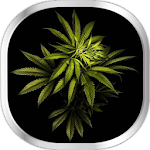 Cover Image of डाउनलोड Weed Live Wallpaper 22.0 APK