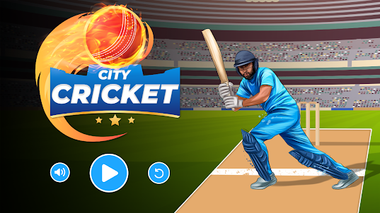 City Cricket