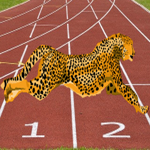 SPORTY CHEETAH 2 logo
