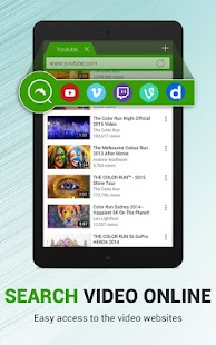 Dolphin Video - Flash Player F Screenshot