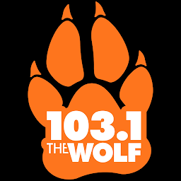 Icon image 103.1 The Wolf FM