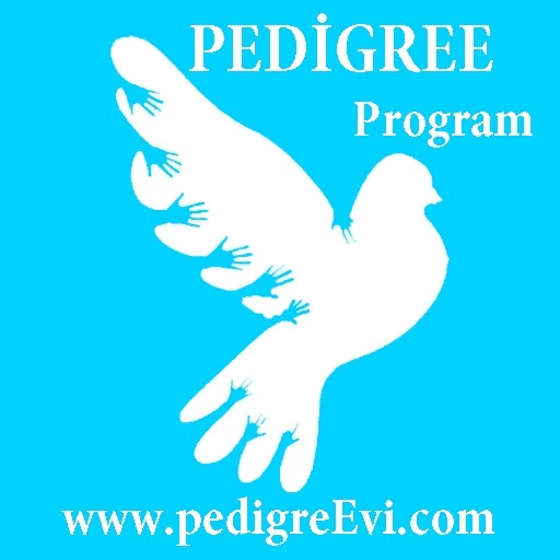 Pedigree logo