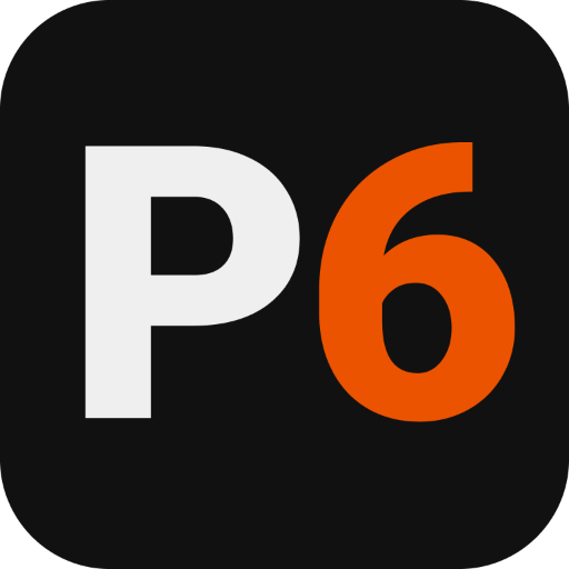PROXY6: Internet via Proxy logo