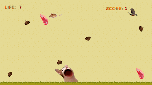 Hungry cat Screen 2