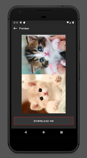 Video Thumbnail Downloader Screen 3