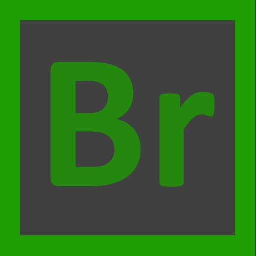 Bridge Asset Management System logo