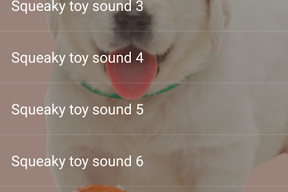 dog squeaky toy sound download