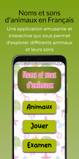 Aperçu de l'application