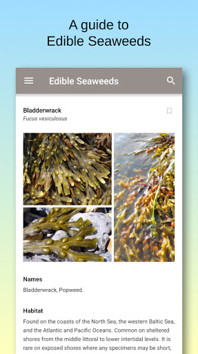 Android application Edible Seaweeds screenshort