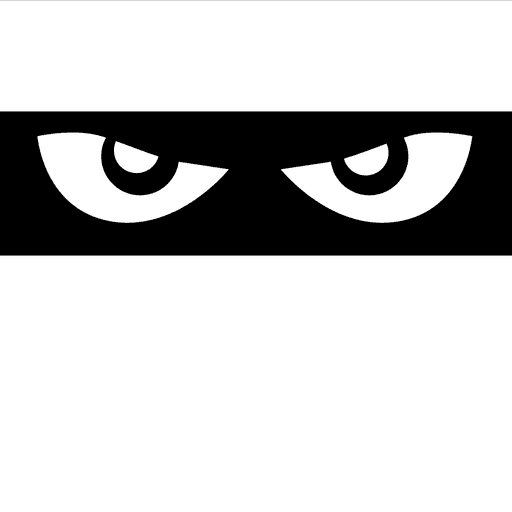 FSNinja : 4-way Skydiving