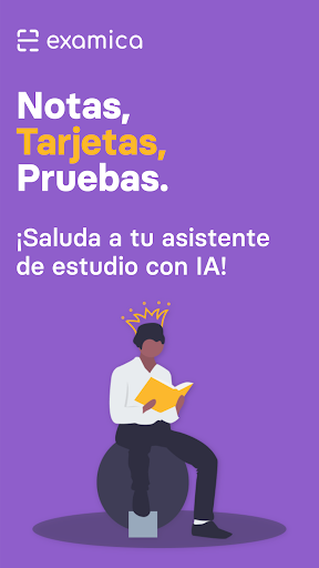 Vista previa de la aplicación
