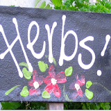 Herb Garden Ideas For Beginner icon