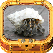 Top 16 Books & Reference Apps Like Healthy Hermit Crab - Best Alternatives