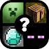 Guess the MCPE Item