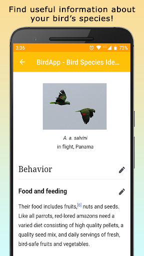 BirdsID - Identify Birds Screen 2