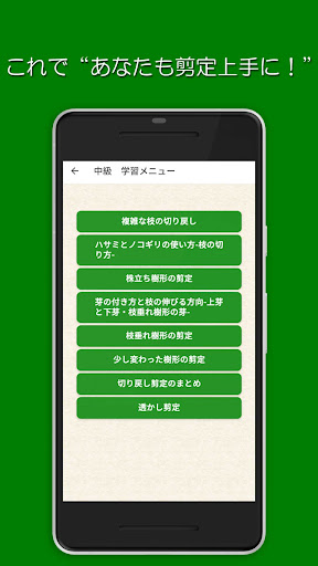 樹形式剪定教室 基本編 中級 Screen 2