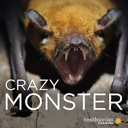 Crazy Monster की आइकॉन इमेज