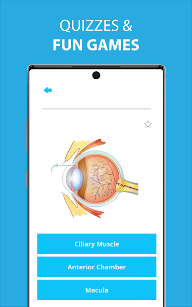 Captura 5 Human Anatomy Learning - 3D android