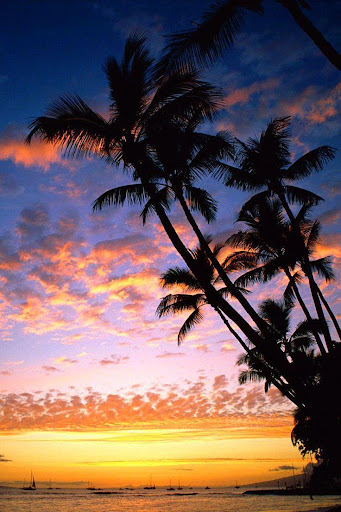 Download Hawaii Wallpapers Free For Android Hawaii Wallpapers Apk Download Steprimo Com