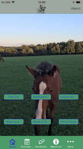 Android application Edgeworth Polo Club screenshort