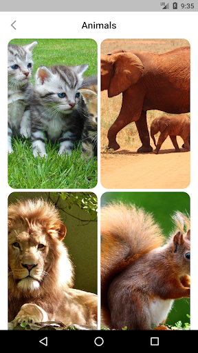 wallpaperx Screen 2