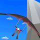 Jonny Hang Glider