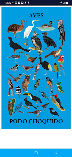 Animales Matsés Screen 2