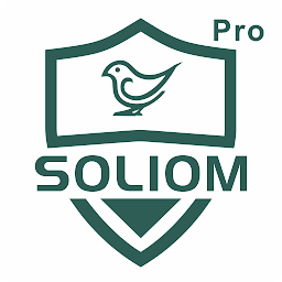 Soliom Pro ikonjának képe