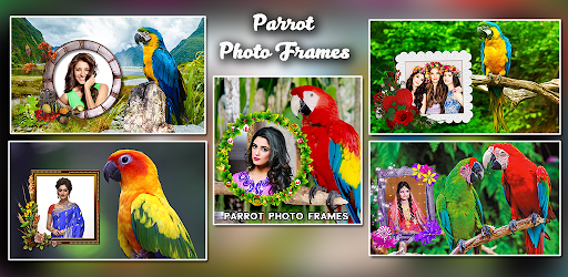 Android application Parrot Photo Frames screenshort