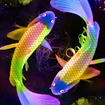Cover Image of Descargar Beautiful Koi Fish Wallpapers 1.0 APK