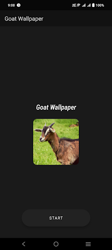Goat Wallpaper Screen 2