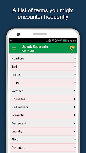 Screenshot of Learn Esperanto Language App