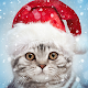 Christmas Photo Frames, Effects & Cards Art Windows에서 다운로드