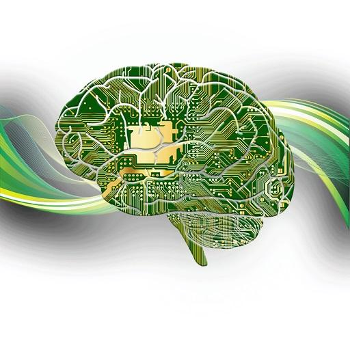 Биоритмы Мозга