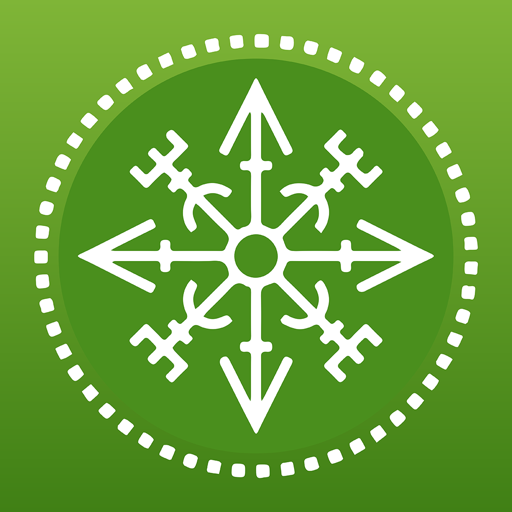 Bering Travel logo