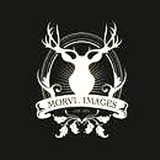 Morvi Images logo