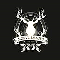 Morvi Images
