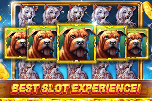 Slots Casino Slot Machine Game 6