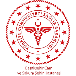 Symbolbild für Başakşehir Çam ve Sakura Şehir
