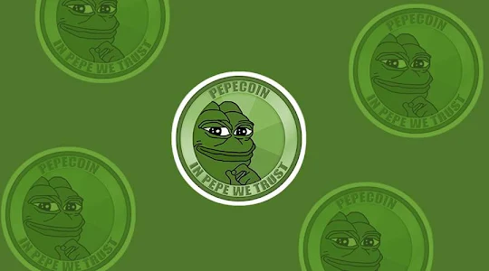 PEPE Crypto Wallet Guide