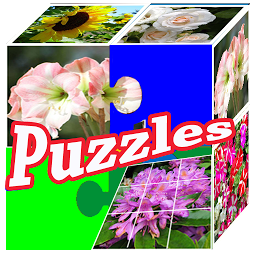 Icon image Puzzle