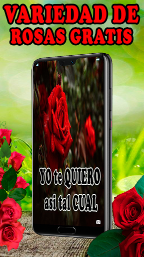 Rosas Rojas Hermosas Flores Screen 3
