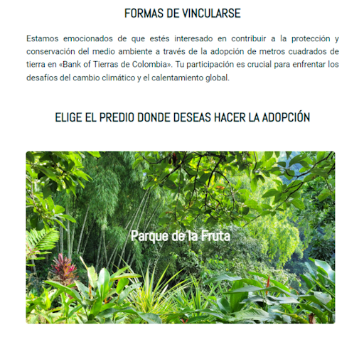 Bank Of Tierras Screen 2