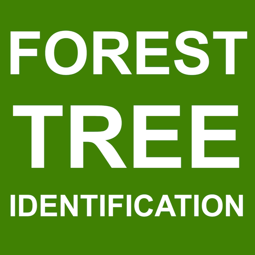 Forest Tree Identification logo