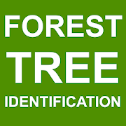 Top 30 Education Apps Like Forest Tree Identification - Best Alternatives
